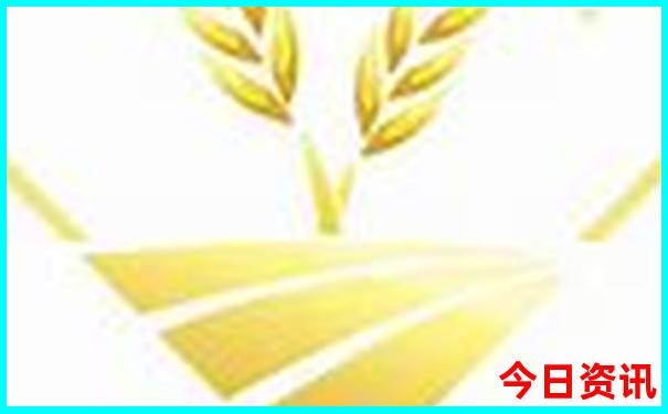 雷锋六肖网站